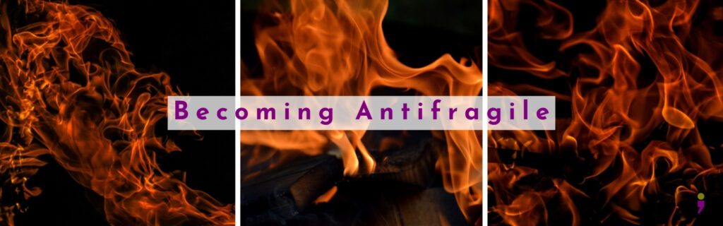 Picture composite of wild fires